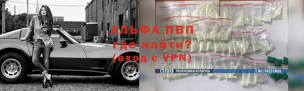 стаф Зерноград