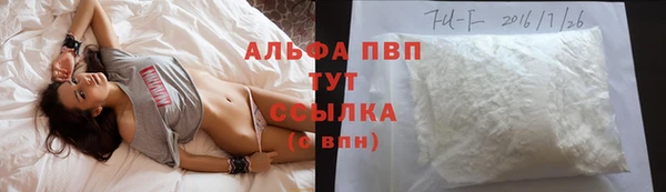 стаф Зерноград