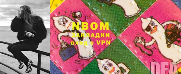 стаф Зерноград