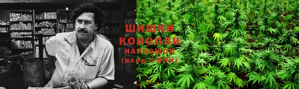 стаф Зерноград