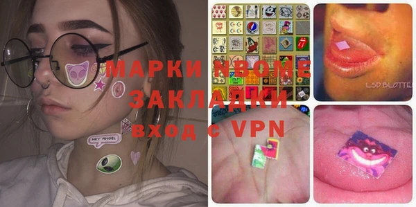 стаф Зерноград