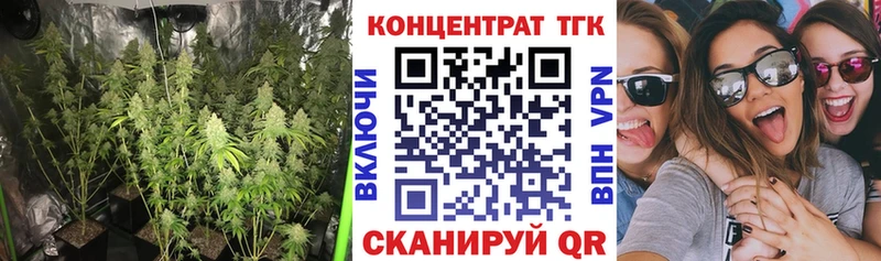 ТГК THC oil  kraken ТОР  площадка официальный сайт  купить   Тайга 