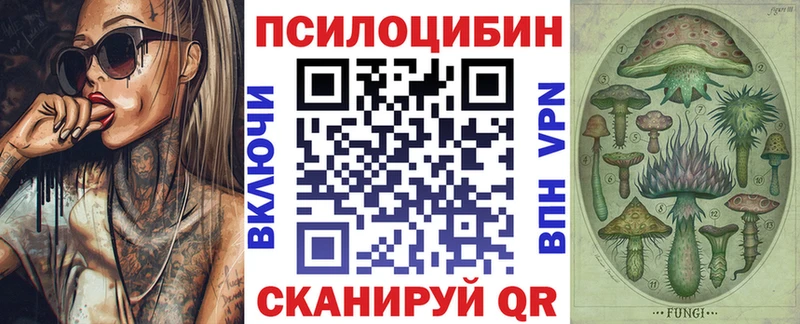 цена   Тайга  Галлюциногенные грибы мицелий 
